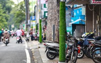 Hàng ngàn cột đèn, cột điện quấn thảm cỏ nhựa ở Quận 5 bắt đầu được "giải thoát"