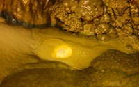 Khám phá hang Rục Mòn (Bài cuối): Ngọc trong hang và bí ẩn về loài rắn ở độ cao 400m