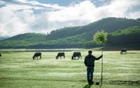 Ngẩn ngơ bức tranh thủy mặc, sơn thủy hữu tình ở hồ Sông Mực