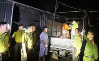 Mật phục bắt xe vận chuyển gỗ nghiến trái phép ở Hà Giang