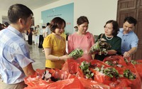 Nông dân những nơi này ở Hà Nội nuôi bò sữa, trồng lúa hữu cơ thu tiền tỷ nhờ liên kết chuỗi