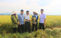 10 hoạt động nổi bật của Hội Nông dân tỉnh Đắk Nông nhiệm kỳ 2018-2023