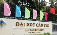 Có nhiều vi phạm, một trường đại học bị “tuýt còi”, xử phạt hành chính
