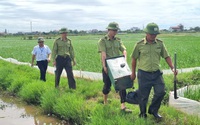 Một huyện của Ninh Bình yêu cầu xử lý nghiêm trường hợp săn bắt, buôn bán, vận chuyển chim hoang dã
