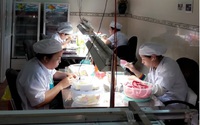 Nuôi "chim tiền tỷ" ở Hậu Giang, xây nhà yến 500m2, mỗi tháng thu mấy kg tổ yến, trừ chi phí còn lãi bao nhiêu?