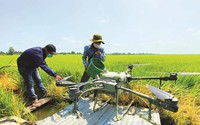 "Phi công bay" trên cánh đồng mênh mông Tứ giác Long Xuyên-nghề đang hot ở An Giang, ai xem cũng trầm trồ