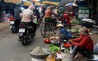 "Lang thang chợ quê" đất An Giang, mê gì đâu đám rau dại, rổ ổi, vài trái dừa khô, ít cá đồng giăng lưới