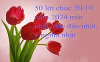 50 lời chúc 20/10 năm 2024 mới nhất, độc đáo nhất, ý nghĩa nhất 