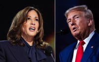 Bầu cử Tổng thống Hoa Kỳ: "So găng" chính sách của ông Trump và bà Harris