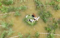 Ám ảnh vùng đầm lầy ven biển Hà Tĩnh, la liệt chim hoang dã giãy dụa trong "thiên la địa võng"