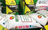 Đạm Cà Mau vượt 33% kế hoạch lợi nhuận năm chỉ sau 9 tháng