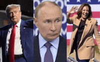 Bầu cử Mỹ 2024 có ý nghĩa gì với Nga? ông Putin chờ đợi ông Trump hay bà Harris? 