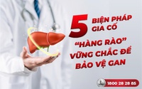 Tạo "hàng rào" vững chắc để bảo vệ lá gan