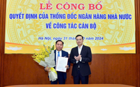 Chân dung ông Lại Hữu Phước - quyền Chánh Thanh tra, giám sát ngân hàng