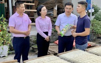 Từ đồng vốn tín dụng chính sách, chàng trai dân tộc Nùng ở Lạng Sơn đưa đặc sản Cao khô Chợ Bãi vươn xa