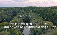 Ứng phó với biến đổi khí hậu, hành động bảo vệ vùng đất ngập nước