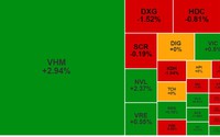 Cổ phiếu bất động sản VHM của Vinhomes phủ xanh, "hút" lượng lớn dòng tiền trên VN-Index