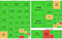 Dòng tiền trở lại, chỉ số VN-Index hôm nay bật tăng hơn 11 điểm