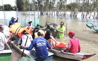 Sản vật mùa nước nổi Đồng Tháp, ngồi xuồng ra đồng lũ xem dân bắt cá linh tươi roi rói