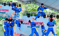 Học sinh IVS phô diễn tuyệt kỹ Vovinam và múa rồng truyền thống Việt Nam tại Brazil 