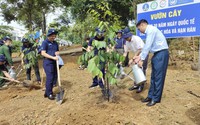 Thứ trưởng Bộ NNPTNT Nguyễn Quốc Trị gửi thư chúc mừng ngành lâm nghiệp, lĩnh vực duy nhất có khả năng phát thải ròng âm