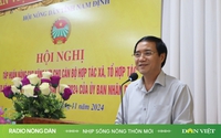 Nhịp sống nông thôn mới ngày 8/11/2024