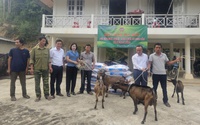 Mô hình Chi hội nghề nghiệp ở Điện Biên giúp tăng cường gắn kết, hỗ trợ hội viên, nông dân tốt hơn