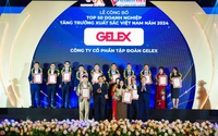 GELEX là một trong 50 doanh nghiệp tăng trưởng xuất sắc Việt Nam 2024