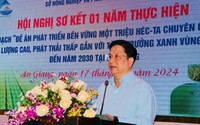 An Giang: Các địa phương còn lúng túng trong triển khai thực hiện đề án 1 triệu ha lúa chất lượng cao