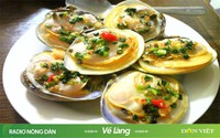 Làm dâu miền biển