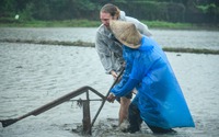 Mưa tầm tã, khách Tây vẫn xuống đồng đi cày cùng nông dân Hội An