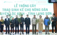 Lạng Sơn: Hình ảnh nông dân Lộc Bình phấn khởi nhận gần 4.000 cây giống mắc ca