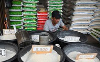 Giá gạo bán lẻ vượt giá trần, một nước Đông Nam Á muốn mua thêm 1,6 triệu tấn gạo, cơ hội của Việt Nam