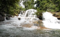 Đây là thác nước đẹp như phim ở Thanh Hóa, có lan rừng thơm, dưới suối vô số cá, tôm lạ mắt