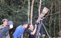 Một khu rừng rậm của Đồng Nai vô số chim hoang dã lạ, dân tình sắm "máy khủng" vô rình chụp hình