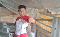 Một ông nông dân Hòa Bình giàu lên nhờ nuôi "chuột rừng", bán làm đặc sản 600.000 đồng/kg