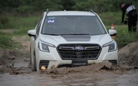 Trải nghiệm off-road cùng dàn xe Subaru Forester