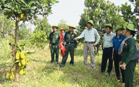 Nông thôn mới Quảng Nam: Huyện Bắc Trà My chọn tiêu chí thu nhập của người dân làm trọng tâm