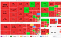 VN-Index lại giảm sâu, chính thức "thủng" mốc 1.200 điểm