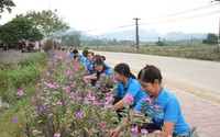 Đường nông thôn mới ở huyện này của Tuyên Quang đẹp mê li, tím hoa dừa cạn, xanh màu cây cảnh