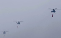Ảnh ấn tượng tuần: Máy bay trực thăng bay "rợp trời" Hà Nội và ảnh hoa mai anh đào cực đẹp ở Đà Lạt