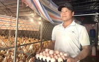 Mô hình nuôi gà trong phòng lạnh của nông dân giỏi đạt giải Nhì Hội thi Sáng tạo nhà nông Bình Định
