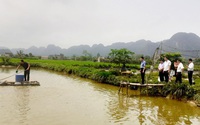 Trung ương Hội Nông dân Việt Nam kiểm tra, giám sát xây dựng nông thôn mới tại Ninh Bình