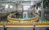 Chinh phục tập đoàn “trăm tuổi” của Nhật Bản, Tân Hiệp Phát đưa đồ uống Việt ra thế giới.