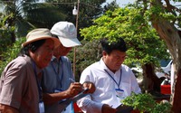 Hàng chục cây cảnh bonsai dáng độc, thế lạ so tài ở Khánh Hòa, dân đi xem trầm trồ