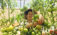 Một “Kỹ sư về vườn” ở Lâm Đồng làm nông nghiệp thuận tự nhiên kiểu gì mà người ta kéo đến xem?
