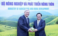 Nông sản Việt và “những bước chân” vững vàng trên đất Mỹ