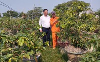 Chủ tịch Hội Nông dân một xã ở Bình Định được Trung ương Hội Nông dân Việt Nam tặng Bằng khen