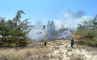 Cháy rừng ven biển Quảng Bình, 6 tiếng đồng hồ vẫn chưa dập được lửa