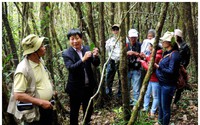 Dân tình đeo ba lô vô khu rừng mang tên 2 ngọn núi cao nhất tỉnh Lâm Đồng, cách Đà Lạt 40km